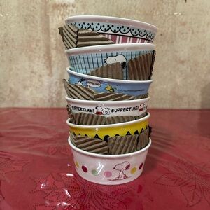 Peanuts Snoopy Pet Bowl collection